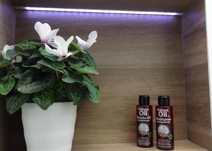 Διαμέρισμα Sunny